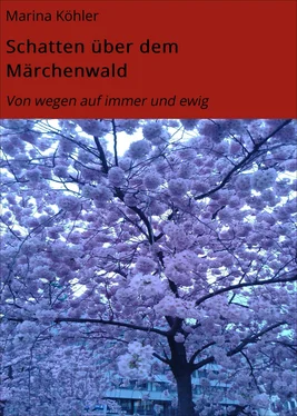 Marina Köhler Schatten über dem Märchenwald обложка книги