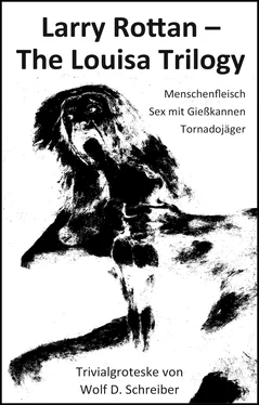 Wolf Schreiber Larry Rottan – The Louisa Trilogy обложка книги