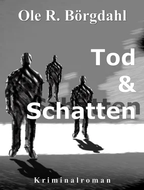 Ole R. Börgdahl Tod und Schatten обложка книги