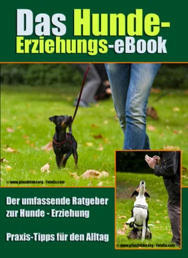Robert Zimmermann Das Hunde-Erziehungs-eBook обложка книги