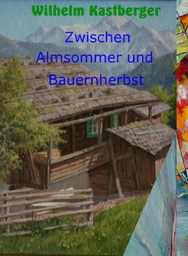 Wilhelm Kastberger Zwischen Almsommer und Bauernherbst обложка книги