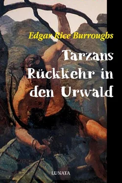 Edgar Burroughs Tarzans Rückkehr in den Urwald обложка книги