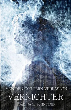 Sabina S. Schneider Von den Göttern verlassen IV обложка книги