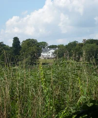 Ingo T. Herzig - Vinz