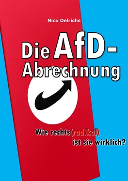 Nico Oelrichs Die AfD-Abrechnung обложка книги