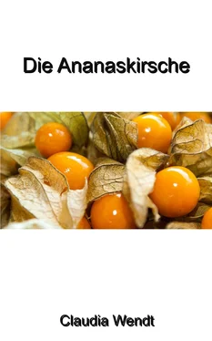 Claudia Wendt Die Ananaskirsche обложка книги