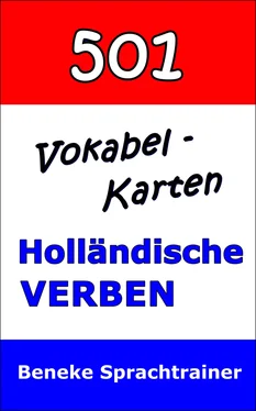 Beneke Sprachtrainer Vokabel-Karten Holländische Verben обложка книги