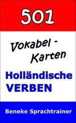 Beneke Sprachtrainer - Vokabel-Karten Holländische Verben