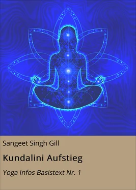 Sangeet Singh Gill Kundalini Aufstieg обложка книги