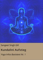 Sangeet Singh Gill - Kundalini Aufstieg