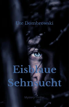 Ute Dombrowski Eisblaue Sehnsucht обложка книги
