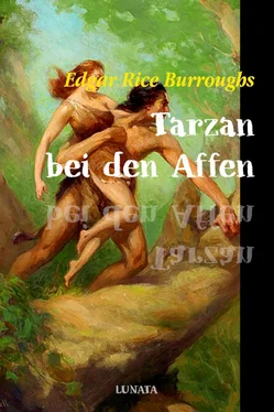 Edgar Burroughs Tarzan bei den Affen обложка книги