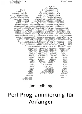 Jan Helbling Perl Programmierung für Anfänger обложка книги