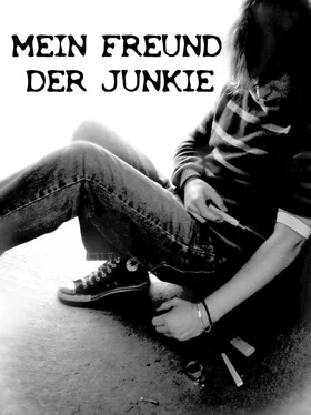 Dana Krösche Mein Freund der Junkie обложка книги