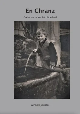 Johann Widmer En Chranz обложка книги