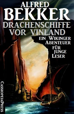 Alfred Bekker Drachenschiffe vor Vinland: Ein Wikinger-Abenteuer für junge Leser обложка книги