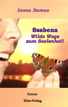 Imme Demos Ssabena - Wilde Wege zum Seelenheil обложка книги