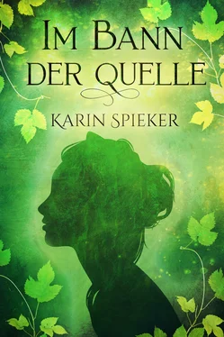 Karin Spieker Im Bann der Quelle обложка книги