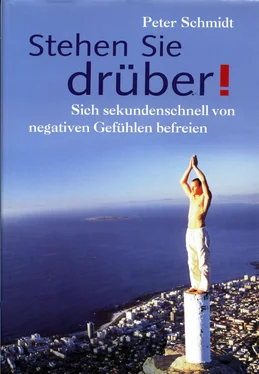 Peter Schmidt Stehen Sie drüber! обложка книги