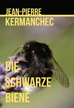 Jean-Pierre Kermanchec Die Schwarze Biene обложка книги
