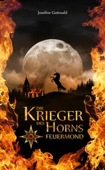 Josefine Gottwald - Die Krieger des Horns - Feuermond
