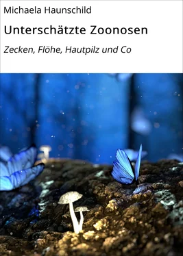 Michaela Haunschild Unterschätzte Zoonosen обложка книги