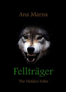 Ana Marna Fellträger обложка книги