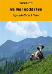 Heidi Dietzel - Mei Ruah möcht i'ham