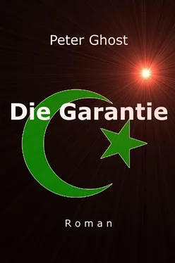 Peter Ghost Die Garantie обложка книги