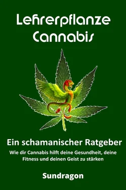 Sun Dragon Lehrerpflanze Cannabis - Ein schamanischer Ratgeber обложка книги