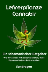 Sun Dragon - Lehrerpflanze Cannabis - Ein schamanischer Ratgeber