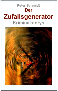 Peter Schmidt Der Zufallsgenerator обложка книги