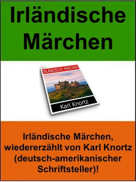 Karl Knortz Irländische Märchen обложка книги