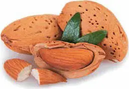 Плод растения рода Слива Миндаль часто называют орехом но это не так с точки - фото 89