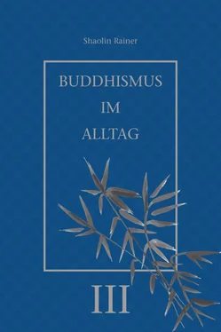 Rainer Deyhle Buddhismus im Alltag III обложка книги