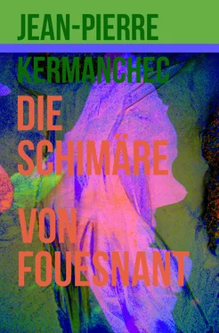 Jean-Pierre Kermanchec Die Schimäre von Fouesnant обложка книги