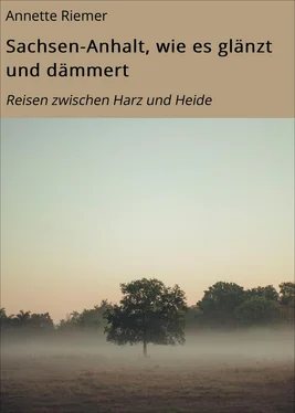 Annette Riemer Sachsen-Anhalt, wie es glänzt und dämmert обложка книги