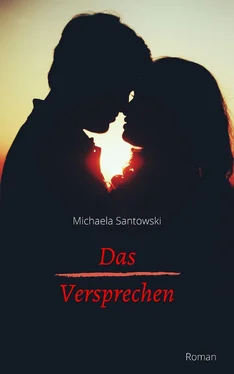 Michaela Santowski Das Versprechen обложка книги