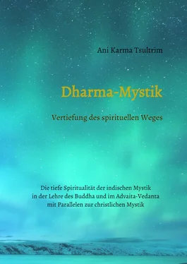 Ani Karma Tsultrim Dharma-Mystik обложка книги