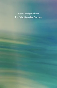 Agnes Schuster Im Schatten der Corona обложка книги