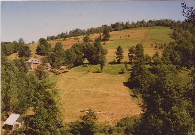 Mir gegenüber breitete sich wie auf einem Katasterplan unser Anwesen aus Ich - фото 9