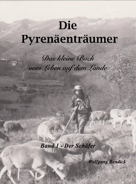 Wolfgang Bendick Die Pyrenäenträumer - Der Schäfer обложка книги