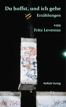 Fritz Leverenz Du hoffst, und ich gehe обложка книги