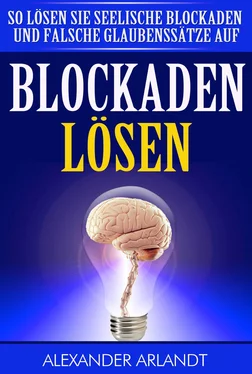 Alexander Arlandt BLOCKADEN LÖSEN обложка книги