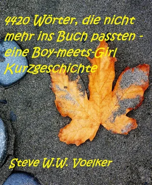 Steve W.W. Voelker 4420 Wörter, die nicht mehr ins Buch passten - eine Boy-meets-Girl Kurzgeschichte обложка книги