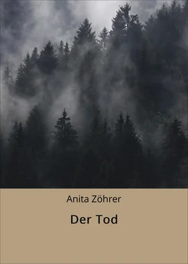 Anita Zöhrer Der Tod обложка книги