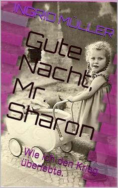 Ingrid Müller Gute Nacht, Mr. Sharon обложка книги