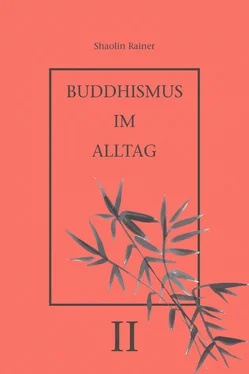 Rainer Deyhle Buddhismus im Alltag II обложка книги