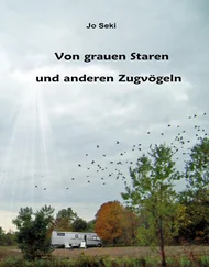 Jo Seki - Von grauen Staren und anderen Zugvögeln