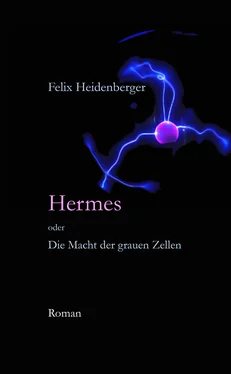 Felix Heidenberger Hermes oder Die Macht der grauen Zellen обложка книги
